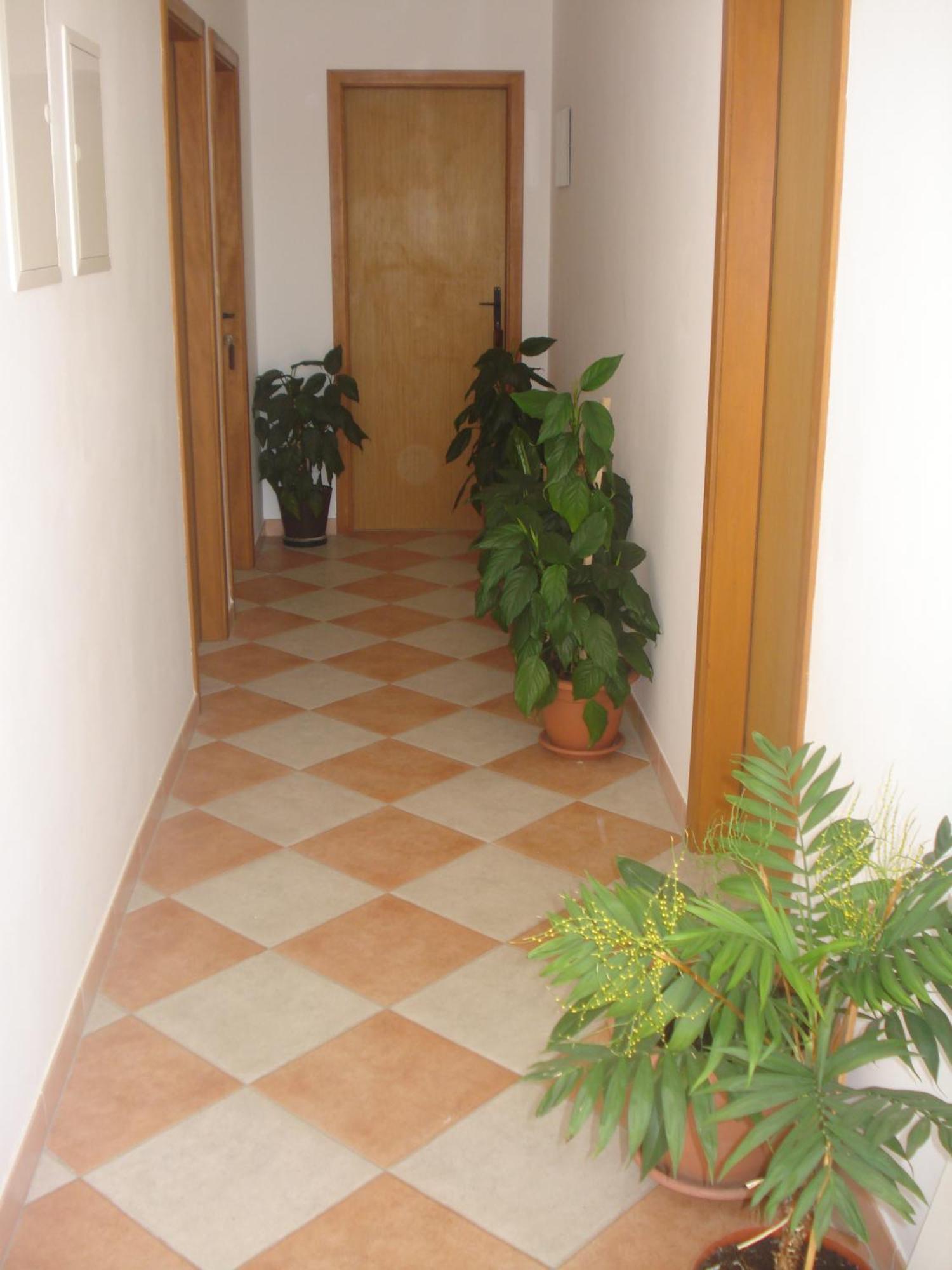 Apartments San Giorgio Sućuraj Eksteriør billede